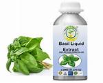 Unlocking the Power of Holy Basil Extract for Glutes: a Natural Approach to Fitness