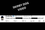 Unlocking the Secrets of Skirby Leaks