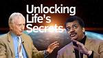 Unlocking the Secrets of Squ O'neil: Insights and Discoveries Unveiled