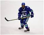 Unraveling Jordan Subban's Nhl Journey: Insights and Revelations