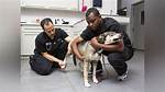 Unraveling the Cy-Fair Vet Lawsuit Outcome