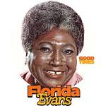 Unraveling the Essence of Florida Good Times