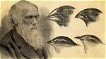 Unraveling the Genius of Charles Darwin: Discoveries That Transformed Biology