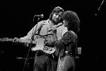 Unraveling the Legacy: Waylon Jennings Height and More