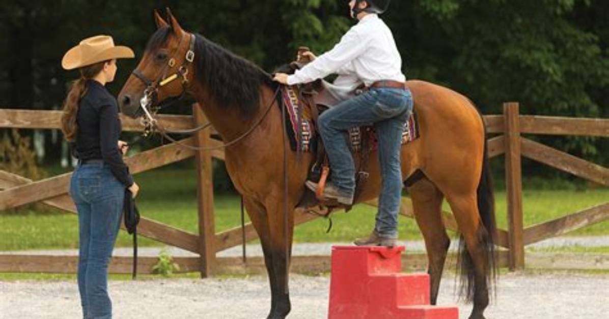 Unraveling the Mystery Behind the Horse Mounting Guy Video