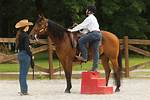 Unraveling the Mystery Behind the Horse Mounting Guy Video