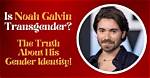 Unraveling the Mystery: Is Noah Galvin Trans?