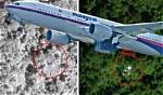 Unraveling the Mystery: Mh370 Found in Jungle