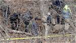 Unraveling the Mystery of "Lily Peters Case"
