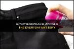 Unraveling the Mystery of "You Lint Licker": a Quirky Exploration