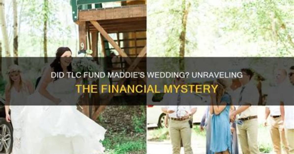 Unraveling the Mystery: What Happened to Maddie on 911?