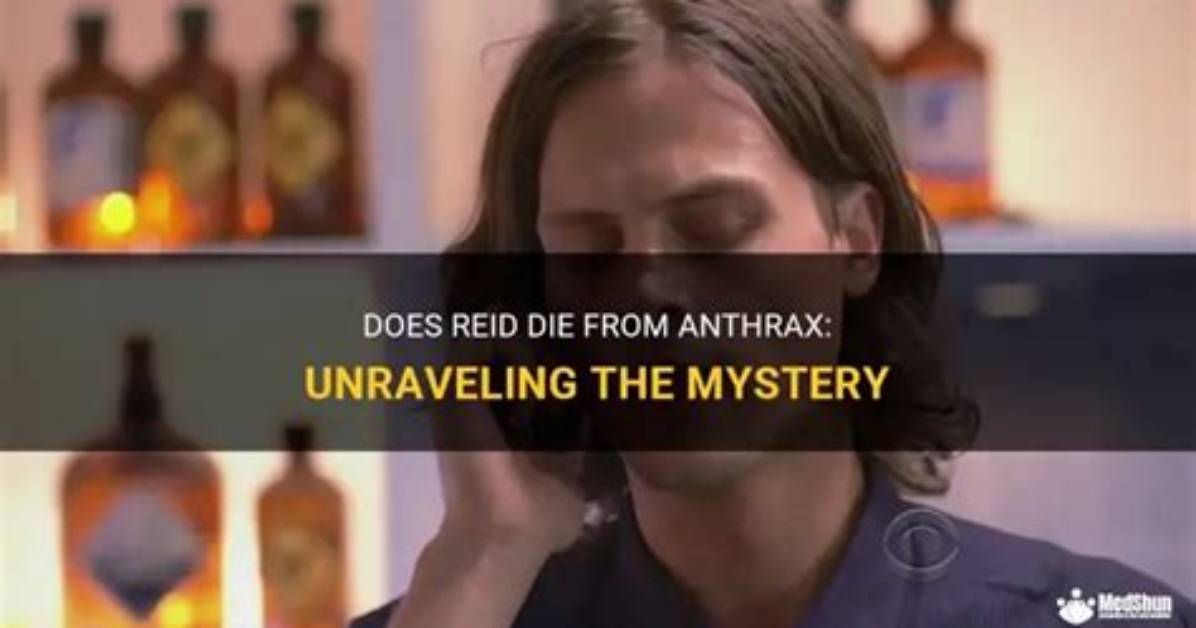 Unraveling the Mystery: Where Does Spencer Reid Work?