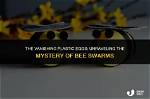 Unraveling the Mystery: Which Bee Gee Killed Himself in the 70S?