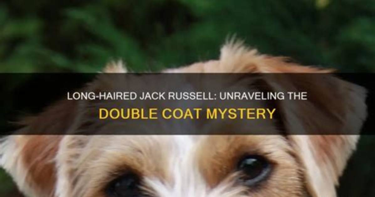 Unraveling the Mystery: Who Is Dating Jack Griffo?