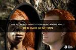 Unraveling the Myths: Are Red Heads Inbred?