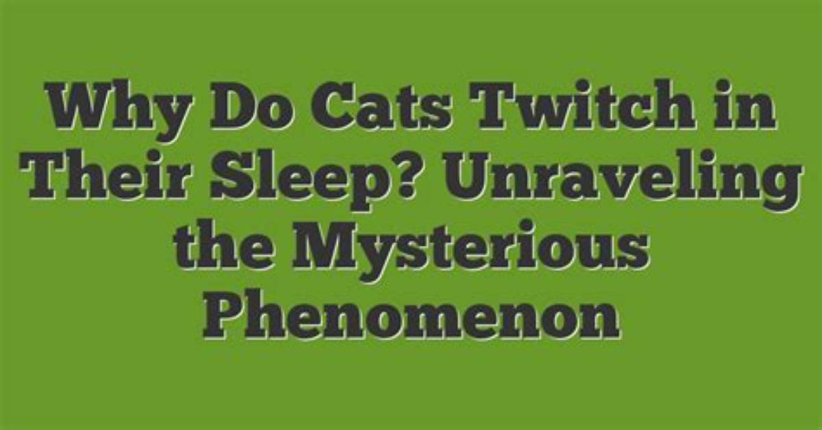 Unraveling the Phenomenon of Barry Twitch