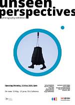 Unseen Perspectives and Enduring Impact