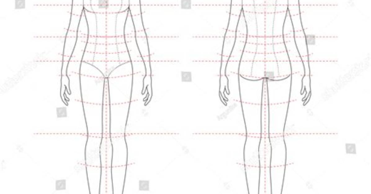 Unveiling a Model's Ideal Proportions