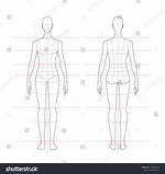 Unveiling a Model's Ideal Proportions