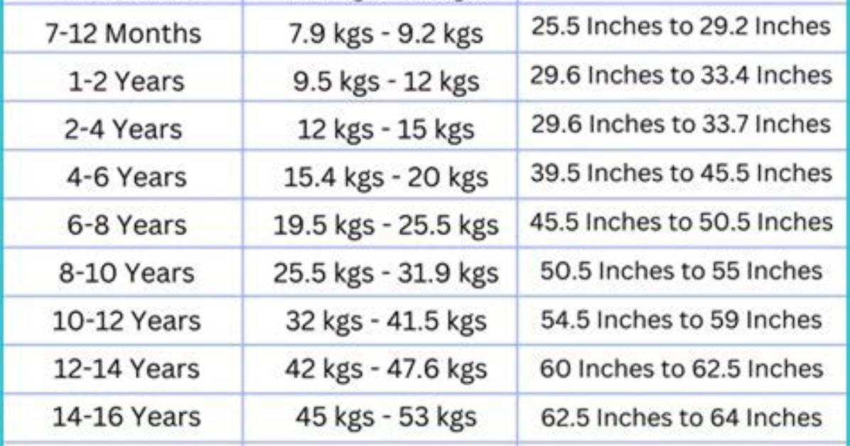 Unveiling Height, Weight, Age, and Family Details