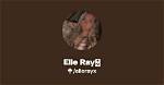 Unveiling the Elle Ray Onlyfans Leaks: a Comprehensive Exploration