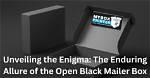 Unveiling the Enigma: the Allure of Molly Nobbiy