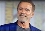 Unveiling the Enigmatic World of Arnold Schwarzenegger's Current Wife