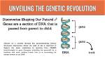 Unveiling the Gene Deal Revolution: Discoveries and Insights Await