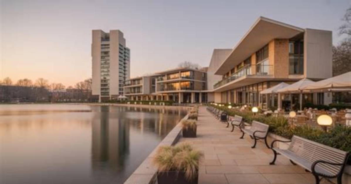 Unveiling the Hidden Gems of Jacksons Reston Va: Discoveries and Insights