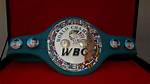Unveiling the Iconic Boxing Belt Gifted to Nelson Mandela