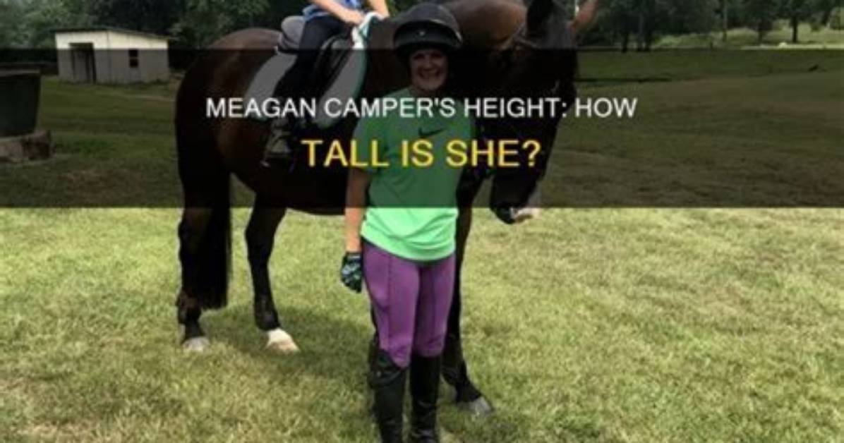 Unveiling the Impactful Role of Meagan Camper Pete Wentz in the Rv Industry