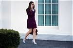 Unveiling the Intrigues of Hope Hicks' Measurements