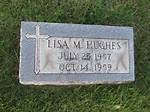 Unveiling the Legacy of Lisa M. Hughes Young: a Transformative Journey