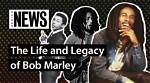 Unveiling the Legacy: the Sons of Bob Dylan