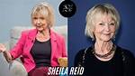 Unveiling the Life and Career of Sheila Hafsadi