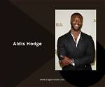 Unveiling the Life & Career of Aldis Hodge's Wife: Exclusive Insights