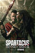 Unveiling the Life of Spartacus’ Esposa