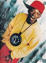 Unveiling the Lives of Flava Flav's Wives: a Deep Dive