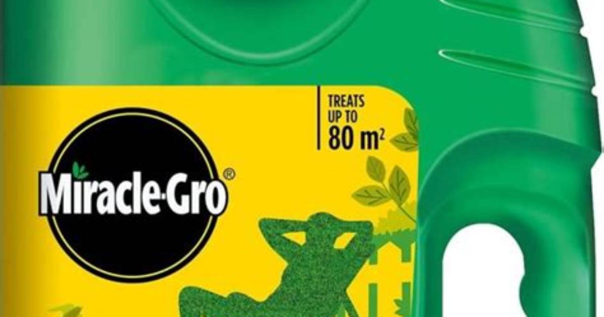 Unveiling the Magic: the Miracle-Gro Commercial Voice