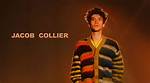Unveiling the Musical Journey of Jacob Collier and His Partner