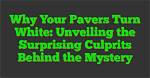 Unveiling the Mystery Behind the White. Essence Leak