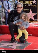 Unveiling the Mystery of Jeff Goldblum's Height