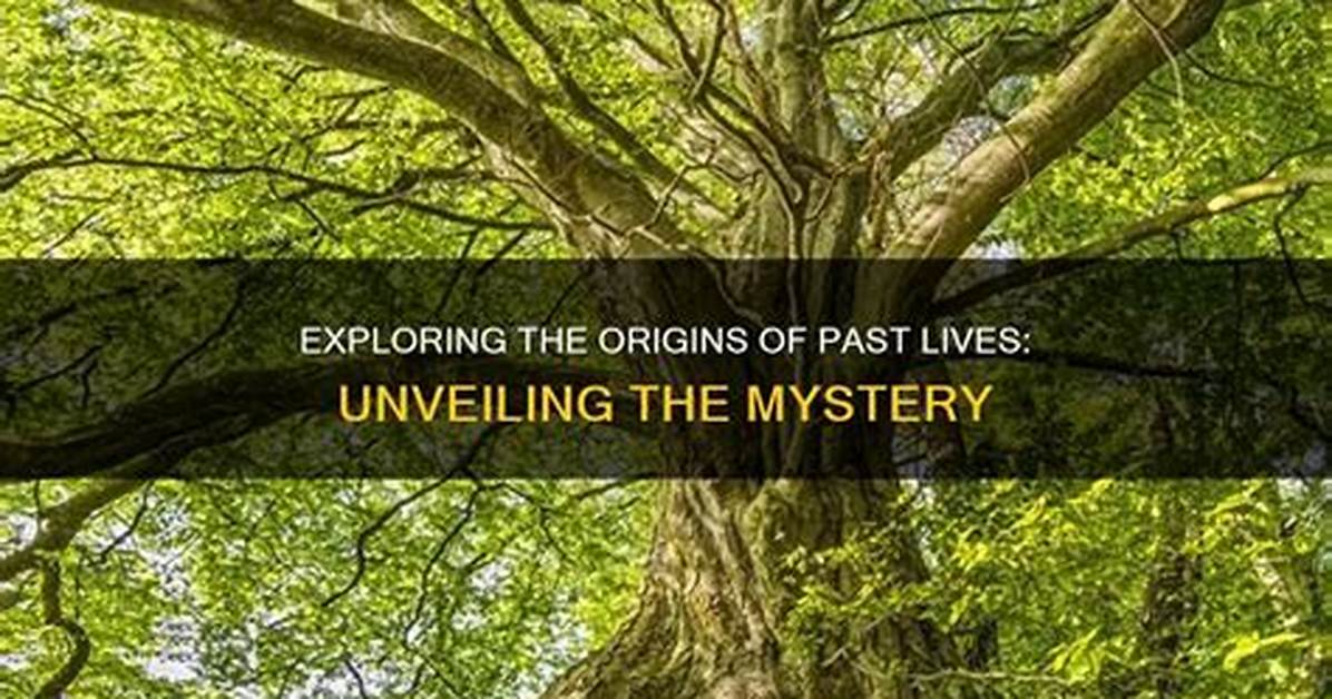 Unveiling the Mystery: Who Lives at 2103 W Volunteer Way, Springfield, Mo 65803?