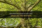 Unveiling the Mystery: Who Lives at 2103 W Volunteer Way, Springfield, Mo 65803?
