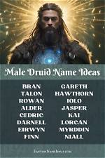 Unveiling the Mystique of Celtic Druid Names