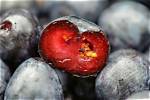 Unveiling the Nutritional Treasures Within: Blueberries Inside
