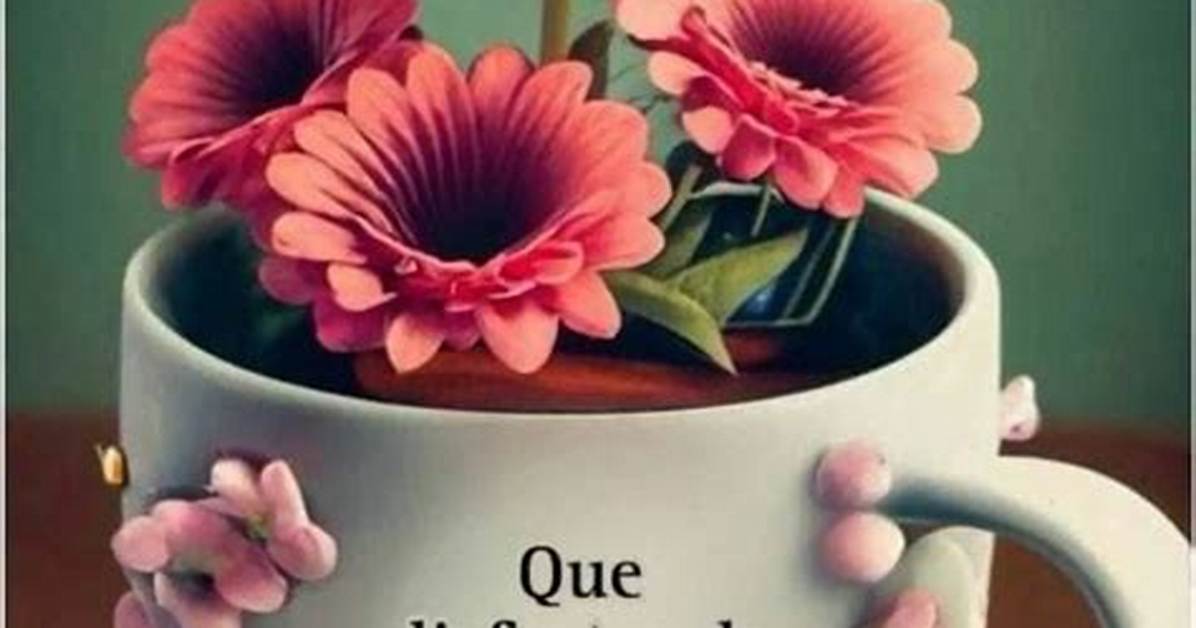 Unveiling the Power of "Imagen De Buenos Dias Bendiciones": Discoveries and Insights
