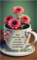 Unveiling the Power of "Imagen De Buenos Dias Bendiciones": Discoveries and Insights