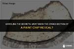Unveiling the Secrets of Chip Gains: the Path to Transformative Change