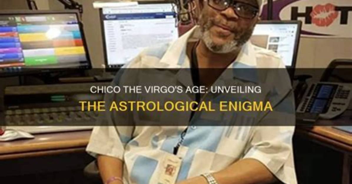Unveiling the Shannon Factor Age: the Enigma Behind the Numbers